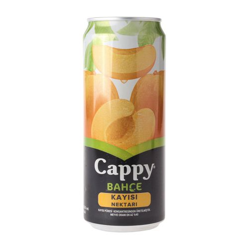 Cappy Kayısılı İçecek 33 Cl