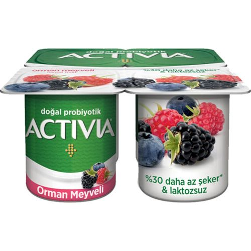 Danone Activia Orman Meyveli 4x100 Gr