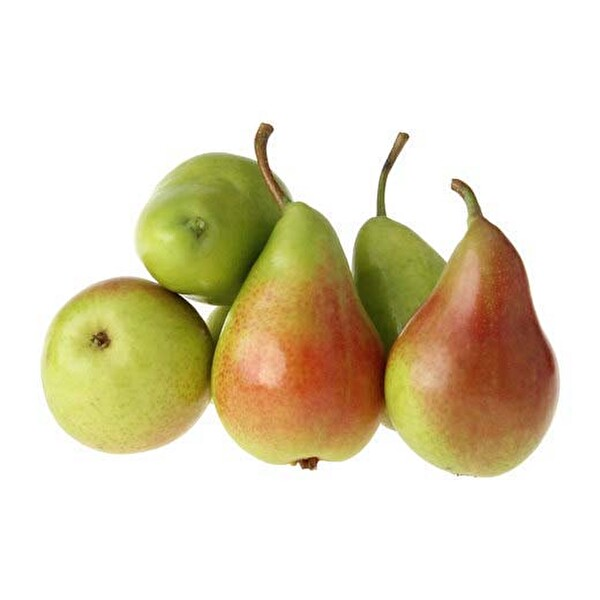 Etruska Armut 1 Kg