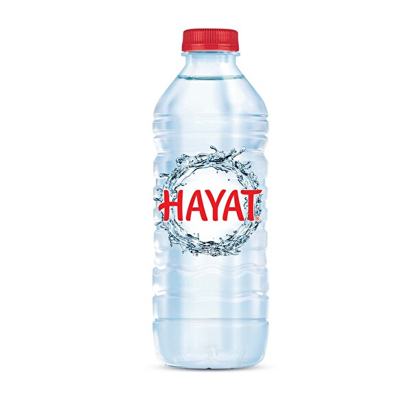 Hayat Su 500 Ml