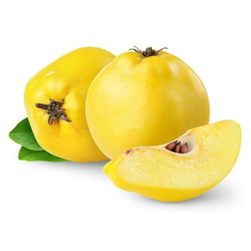 Ayva Gurme 1 KG