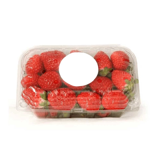 Çilek Paket 400 Gr