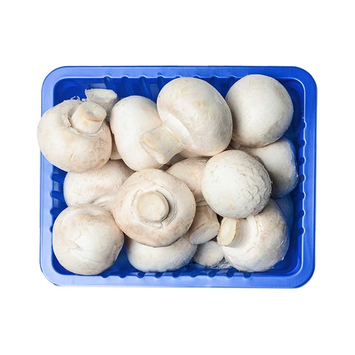 Mantar Tabak 300 Gr