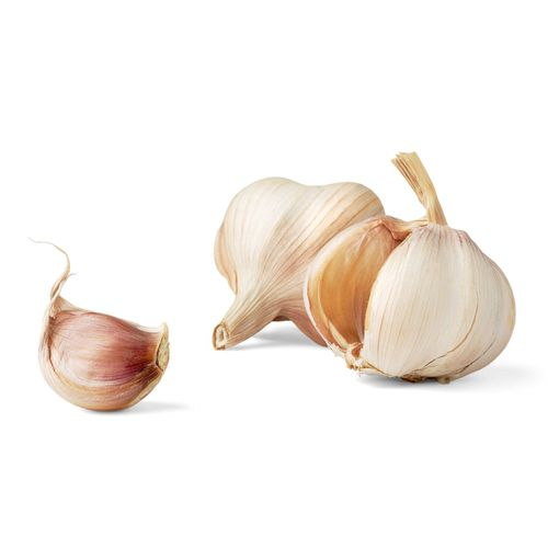 Sarımsak Kuru