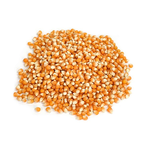 Mısır Cin 1000 Gr