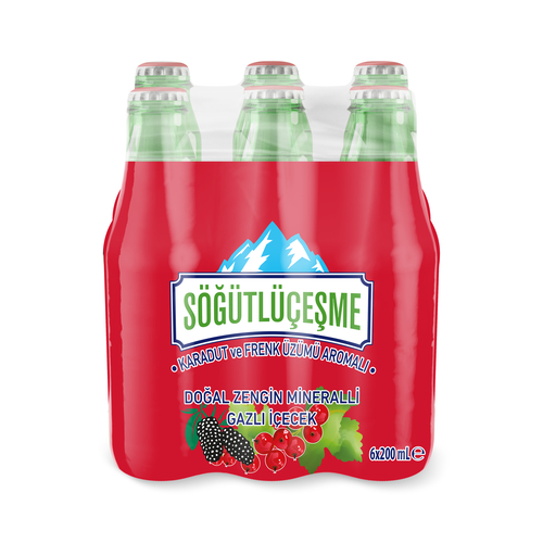 Söğütlüçeşme Karadut Ve Frenk Üzümü 6x200 Ml